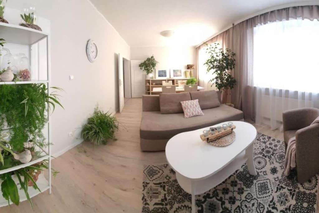 Apartament. Poznań