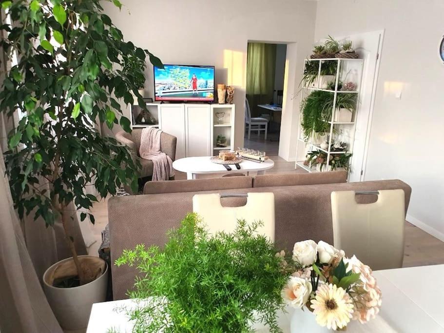 Apartamento Apartament.